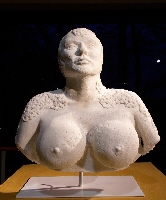 Artefactum of a silicone goddess