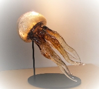 Medusa (in the colour Amber)